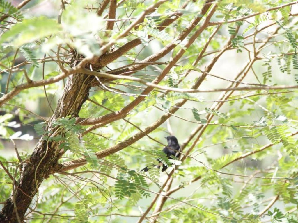 Rommai Rimnaam Resort Ranong Buitenkant foto