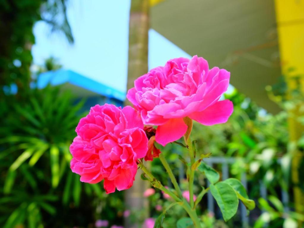 Rommai Rimnaam Resort Ranong Buitenkant foto