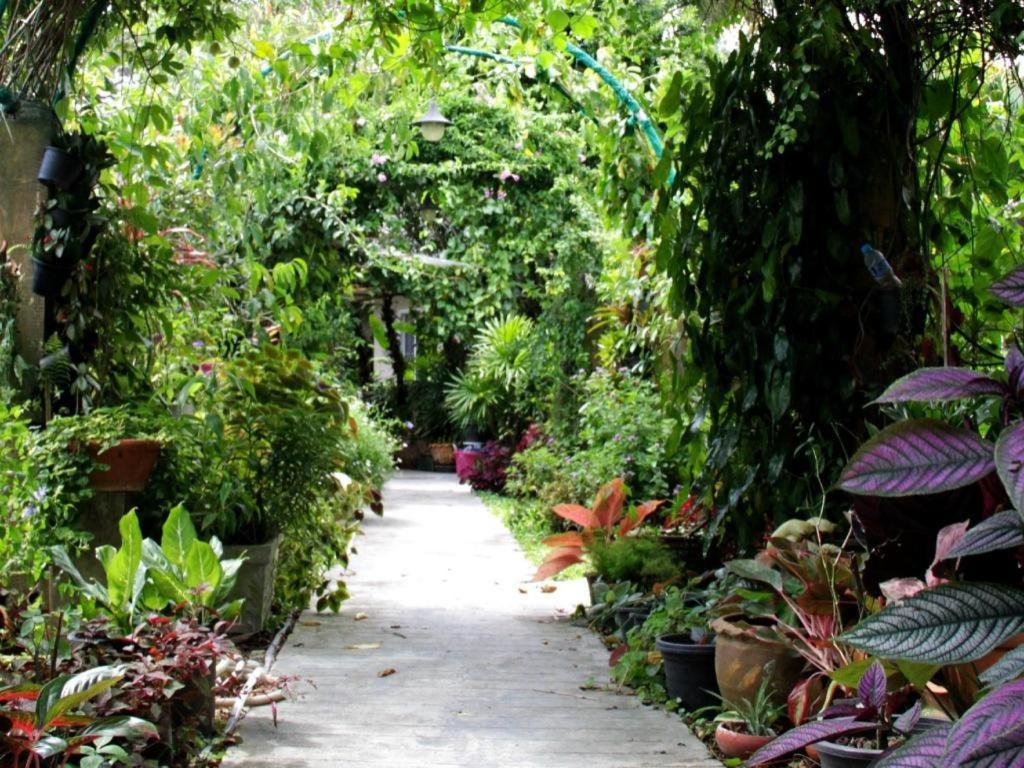 Rommai Rimnaam Resort Ranong Buitenkant foto