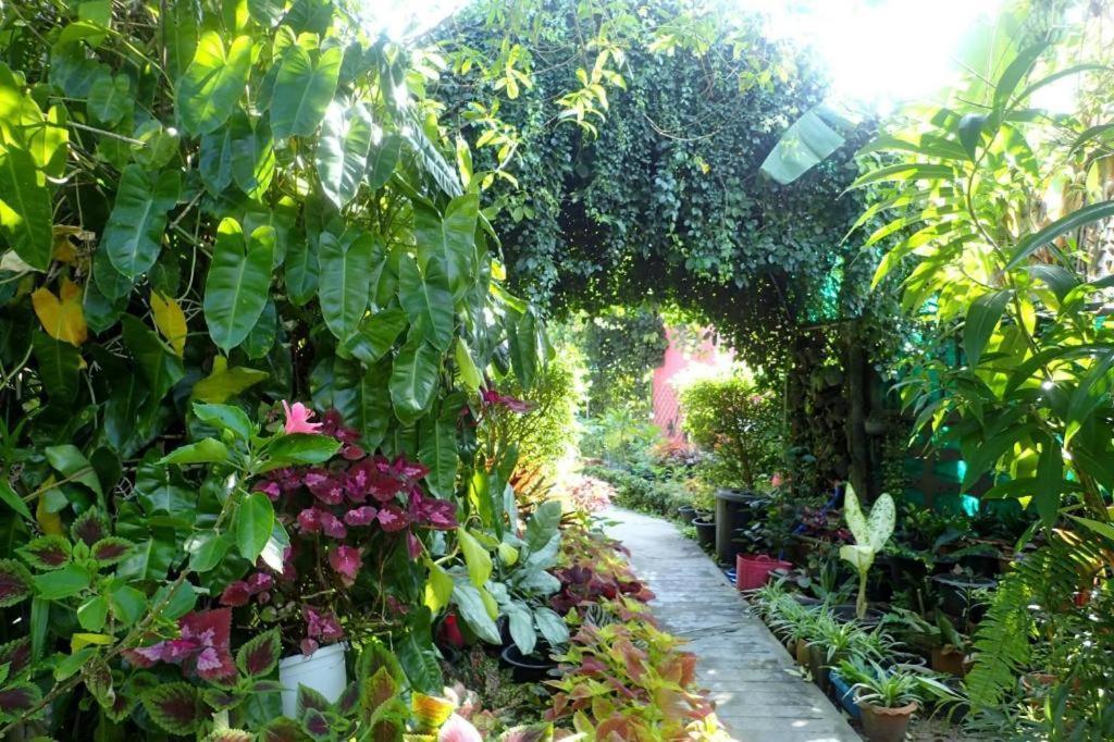 Rommai Rimnaam Resort Ranong Buitenkant foto