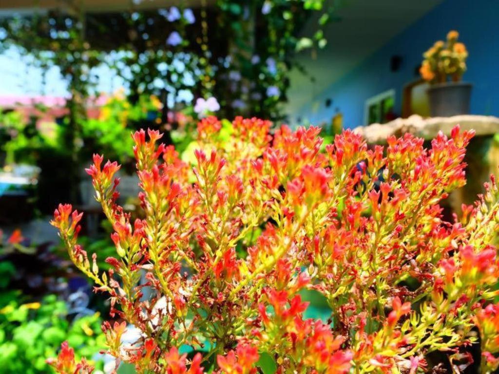 Rommai Rimnaam Resort Ranong Buitenkant foto